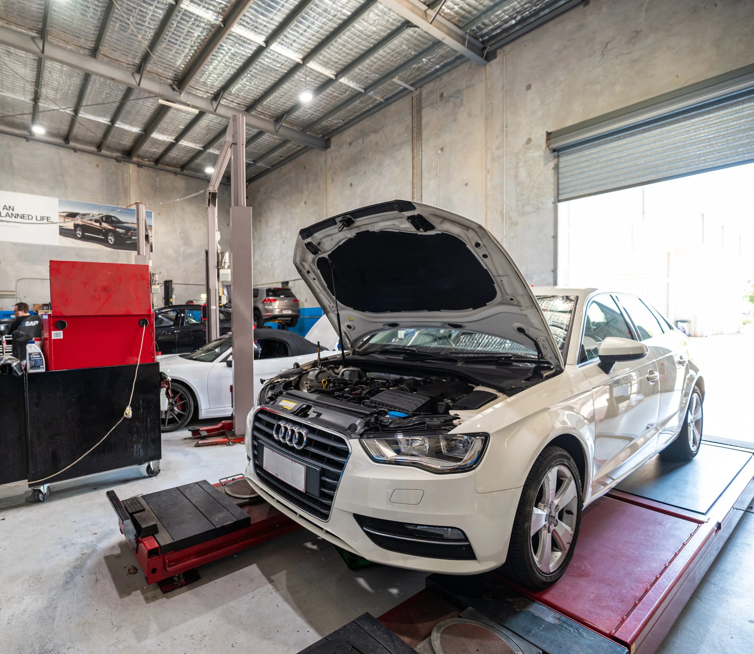 Euro-Aus Website Edited 3